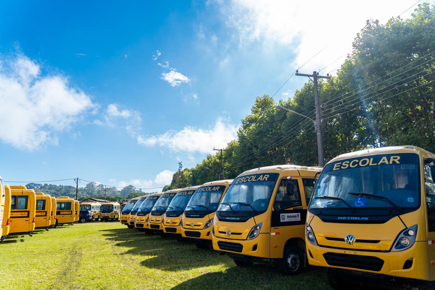 MPPR cumpre mandatos sobre fraudes em licitações do transporte escolar