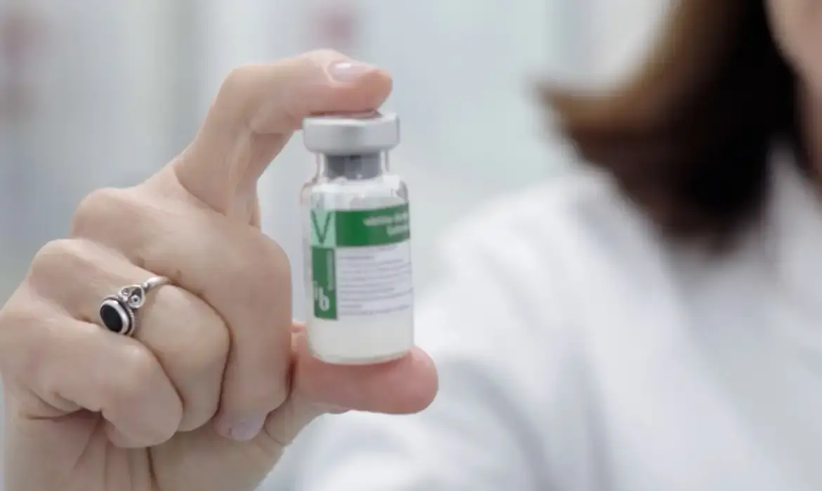 Aplicação da vacina contra a dengue deve começar em 2026