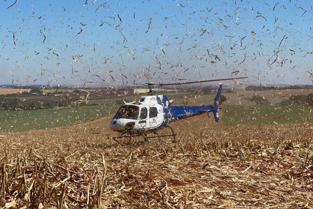 Com cortador de lenha: trabalhador sofre grave acidente na região genital 