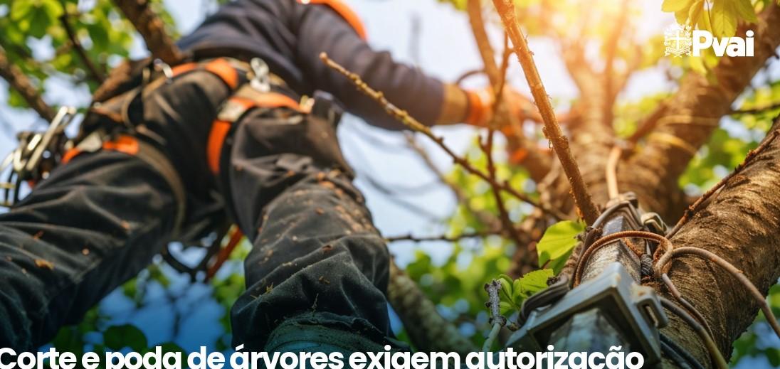 Paranavaí: Corte e poda de árvores exigem autorização prévia 