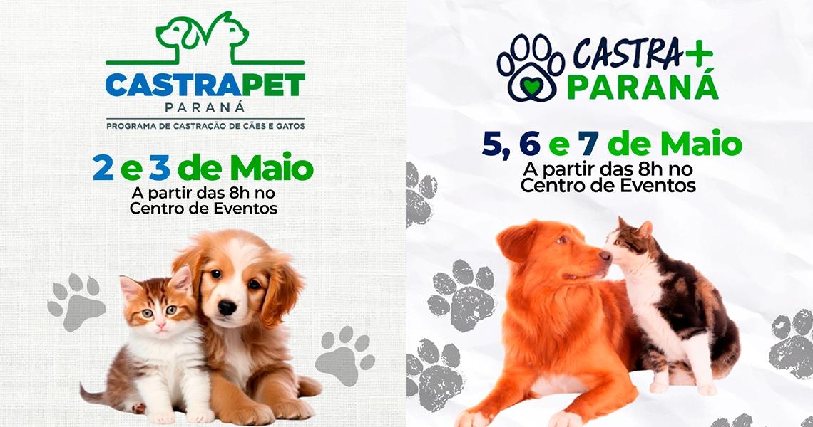Castrações de cães e gatos serão realizadas em Paranavaí