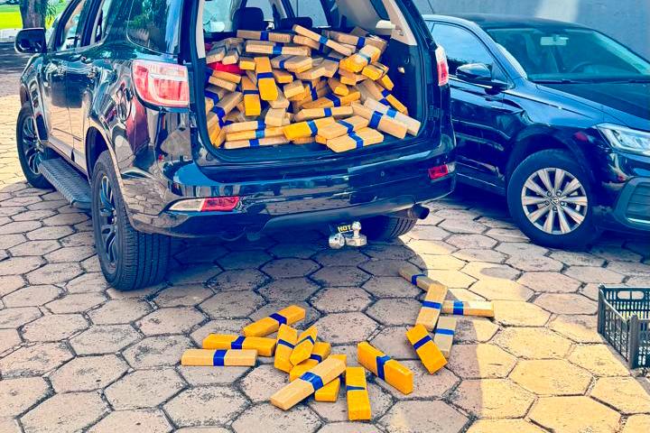 Maior apreensão do ano: PCPR encontra 4,1 toneladas de maconha 