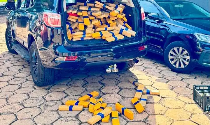 Maior apreensão do ano: PCPR encontra 4,1 toneladas de maconha 